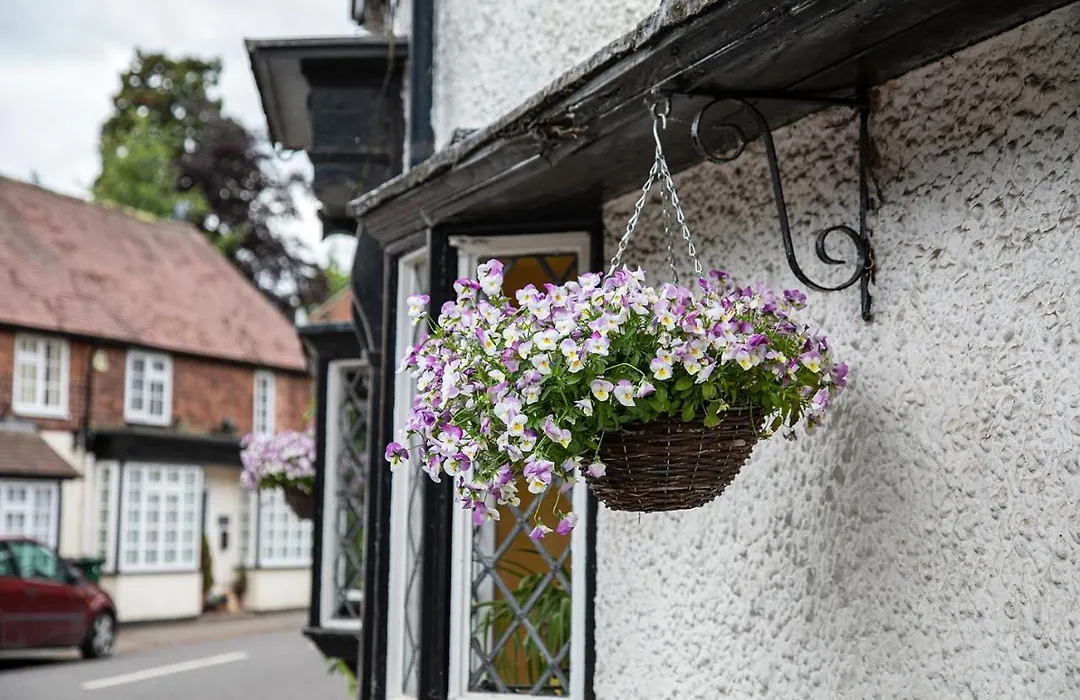 The Yew Tree Inn-1
